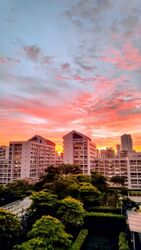 Blk 113C Mcnair Towers (Kallang/Whampoa), HDB 3 Rooms #546249801